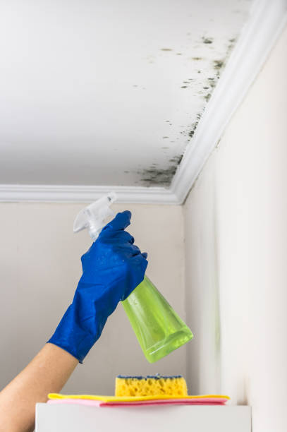 Best Air Quality Testing for Mold Spores  in Villas, NJ